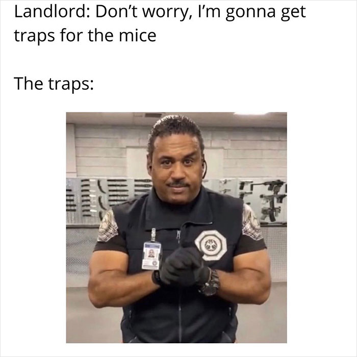 Slumlords-Gone-Wild-Instagram