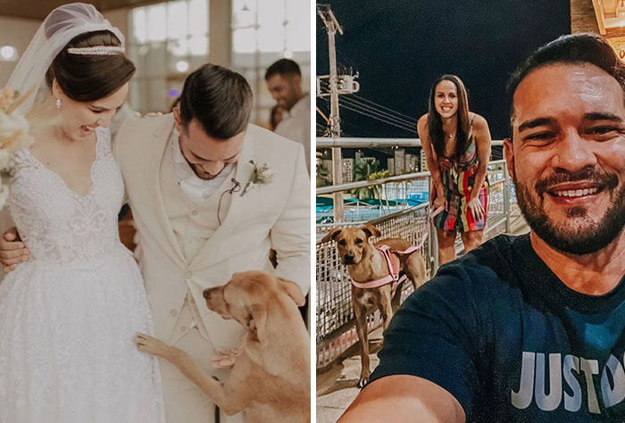 This Stray Dog “Invaded” A Wedding And Ended Up Being Adopted By The Newlyweds