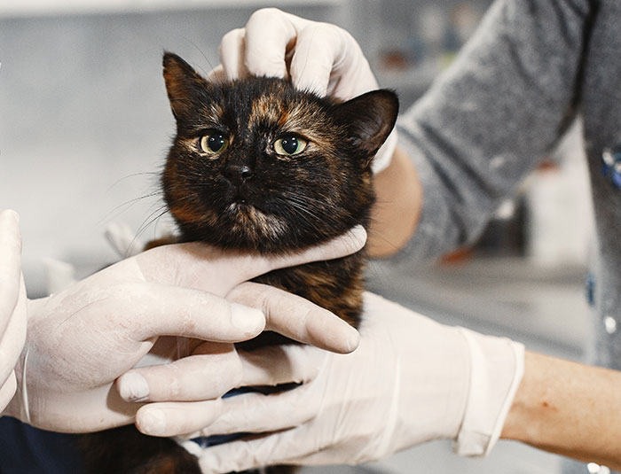 30 Surgeons And Other Doctors Share Their Biggest 'Oh Fudge' Moments - 4