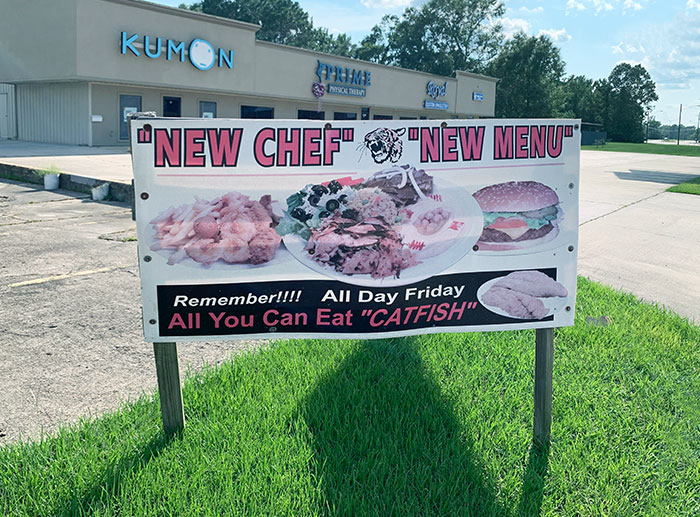 Quietly Move My Cat Indoors