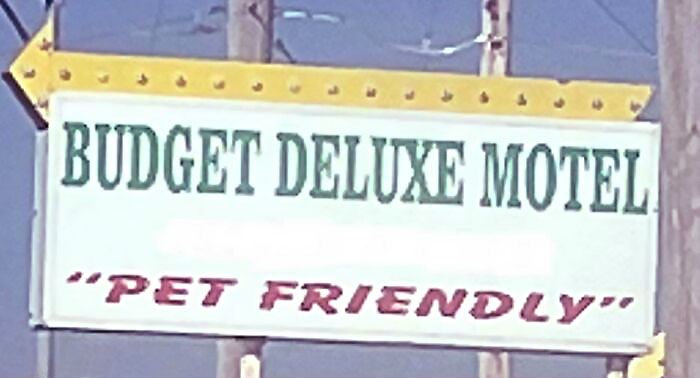 I Don't Think I Want To Bring My Dog Here