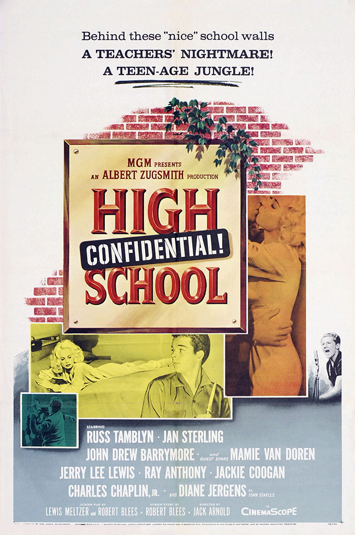 High School Confidential