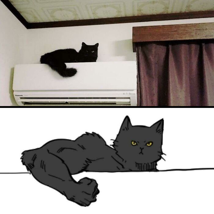 Gracias, adoro a este gato musculoso