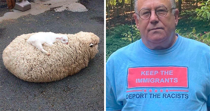 50 Times People Found Something Unbearably Wholesome And Shared It In This Group To Make People’s Day