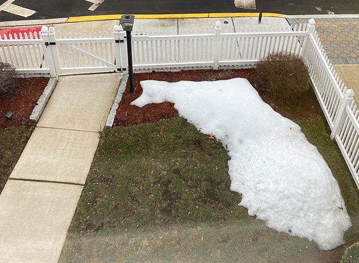 The Snow On My Mom's Lawn Looks Like Florida