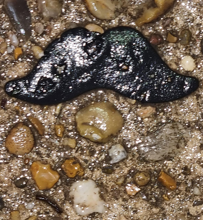 My Girlfriend Found This Rock That Looks Like A Moustache