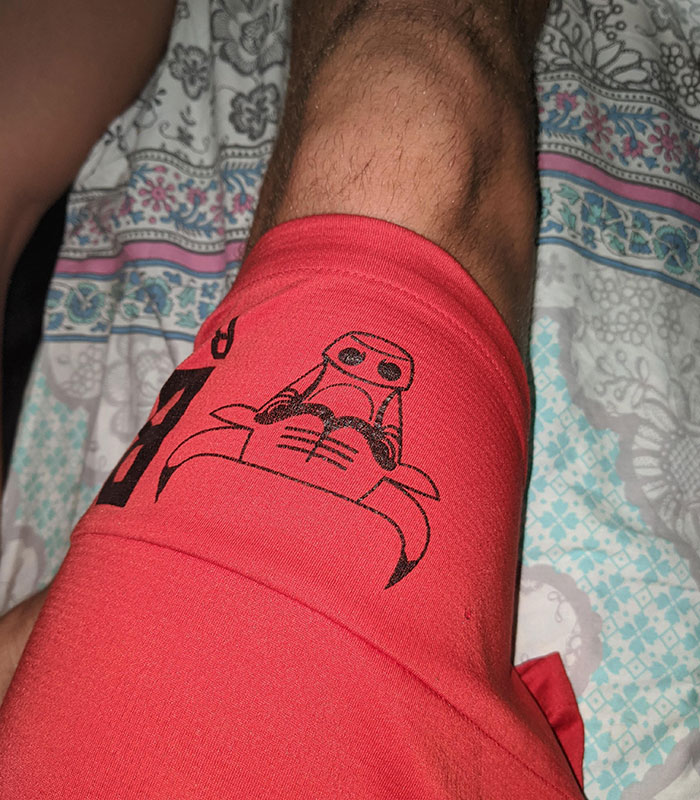 Upside Down, The Bulls Logo Looks Like A Robot Making Love To A Crab