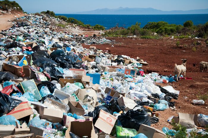 Large pile of plastic and cardboard waste near the sea shows environmental damage better in the past concerns.