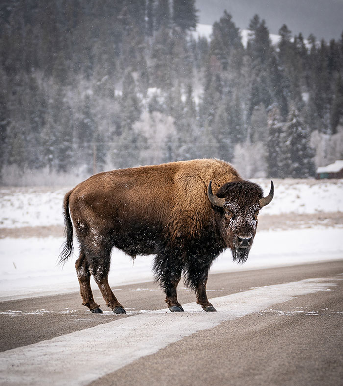 30 Of The Most Annoying Tourist Moments Shared By People Who Live In Holiday Destinations