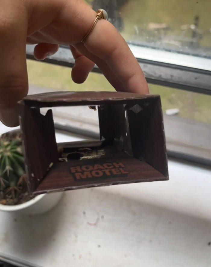 "Don&rsquo;t Move To NYC Right Now": Woman Shows What Her Apartment Looks Like After Landlord Suddenly Increases Her Rent By $700