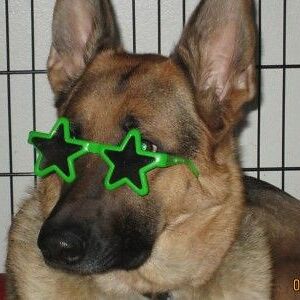 wrenreiprich_1 avatar