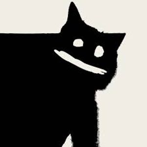 sophiawarnetski avatar