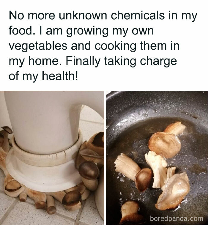 Thanks, I Hate Growing Your Own Vegetables