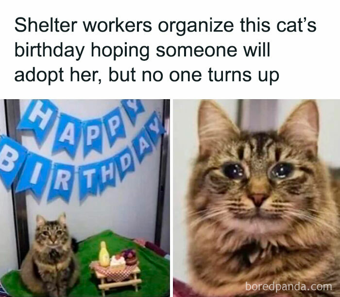 Thanks I Hate How Sad This Made Me