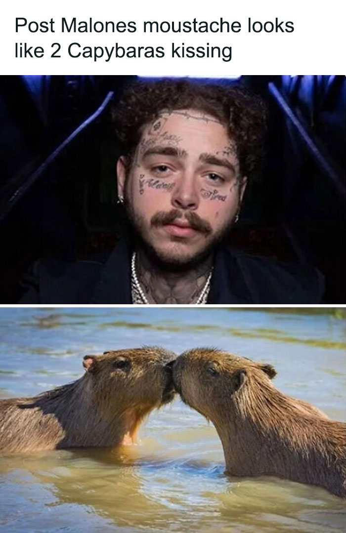 Thanks I Hate Capybaras-Moustache