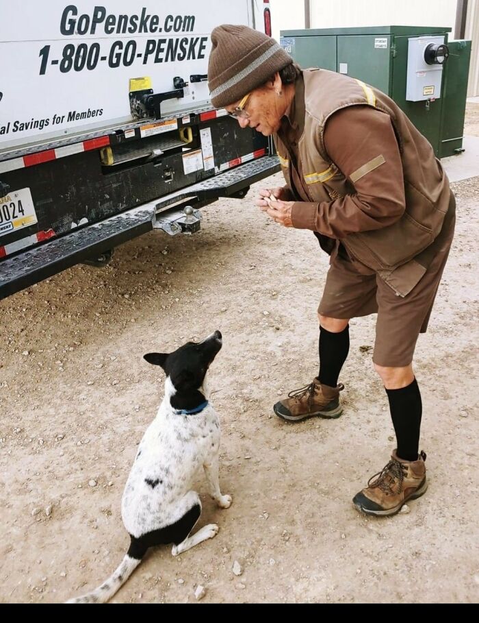Reggie From Outlaw Equinein Decatur Texas