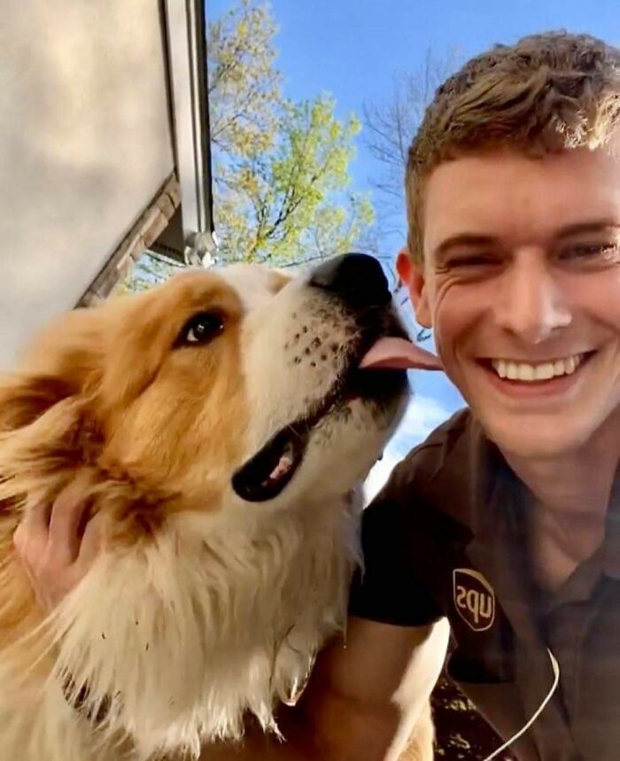 El rey de la selva en Kinnelon, New Jersey