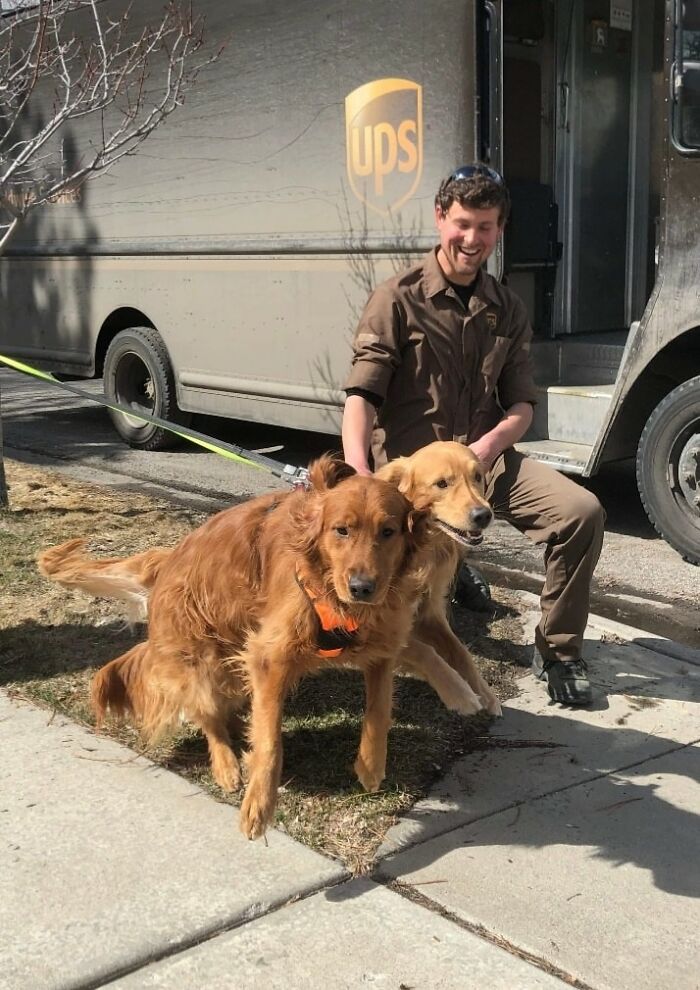¡Hola desde Bozeman, Montana! Este es el conductor de UPS Peter dando un poco de amor a Stetson (Oro) y Sadie Mae (Rojo)