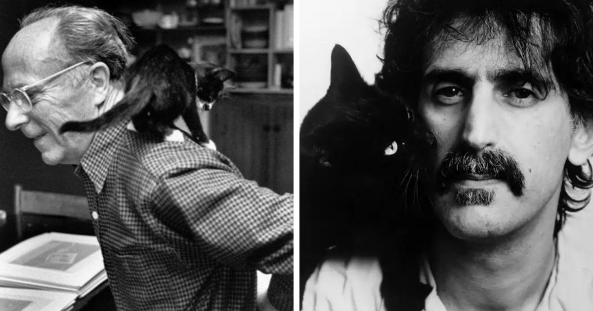 Esta periodista colecciona fotos vintage de celebridades y otras personalidades posando con gatos (30 fotos nuevas)