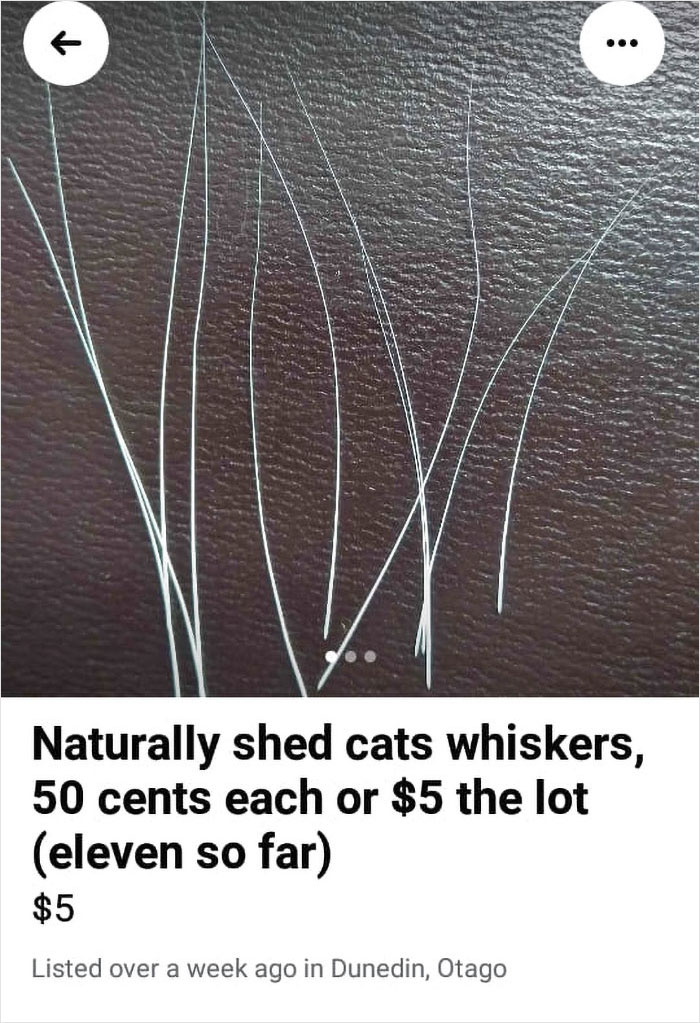 Weird-Funny-Facebook-Marketplace-Pics