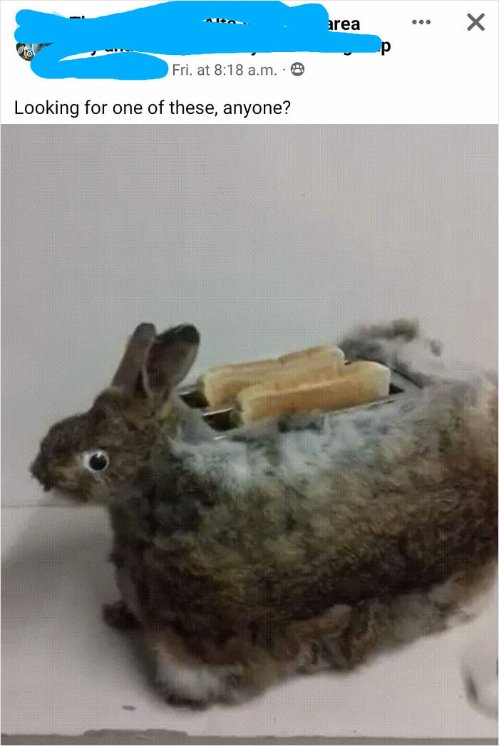 Weird-Funny-Facebook-Marketplace-Pics