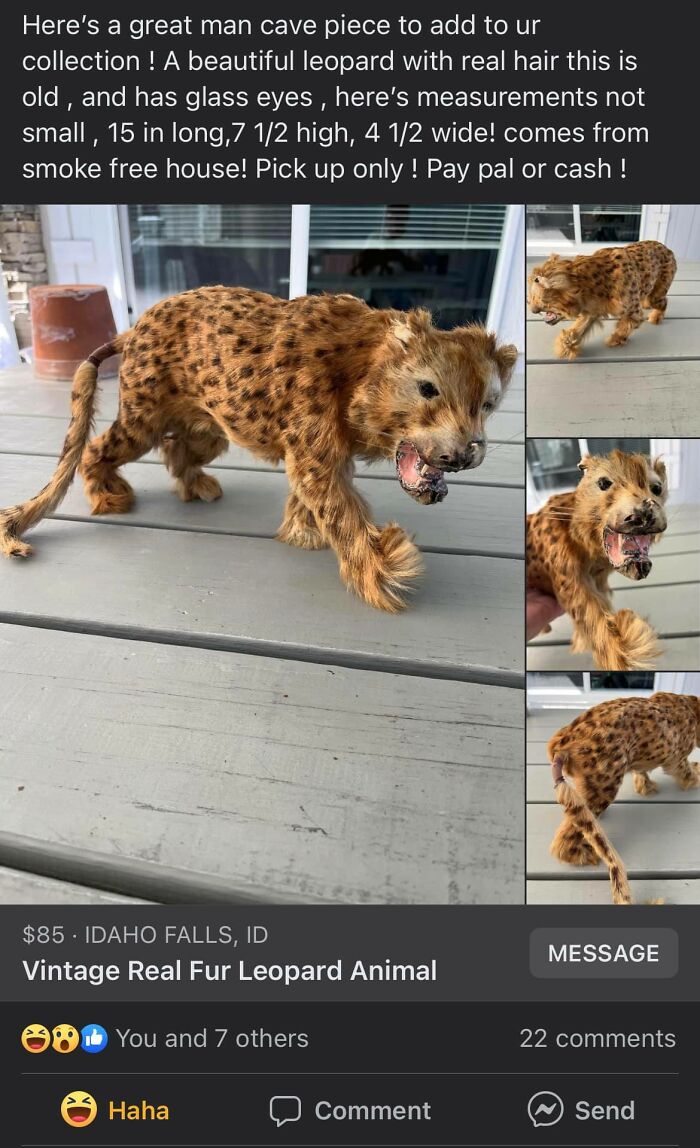 Weird-Funny-Facebook-Marketplace-Pics