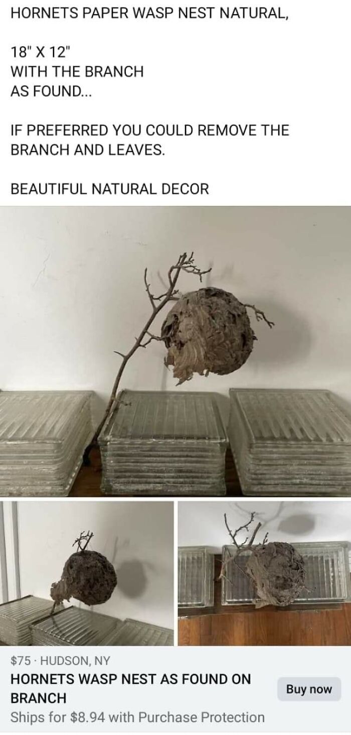 Weird-Funny-Facebook-Marketplace-Pics