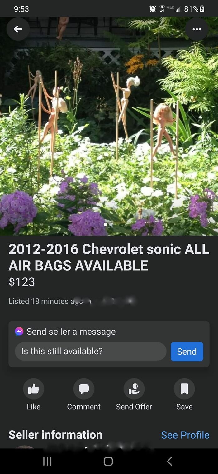 Weird-Funny-Facebook-Marketplace-Pics