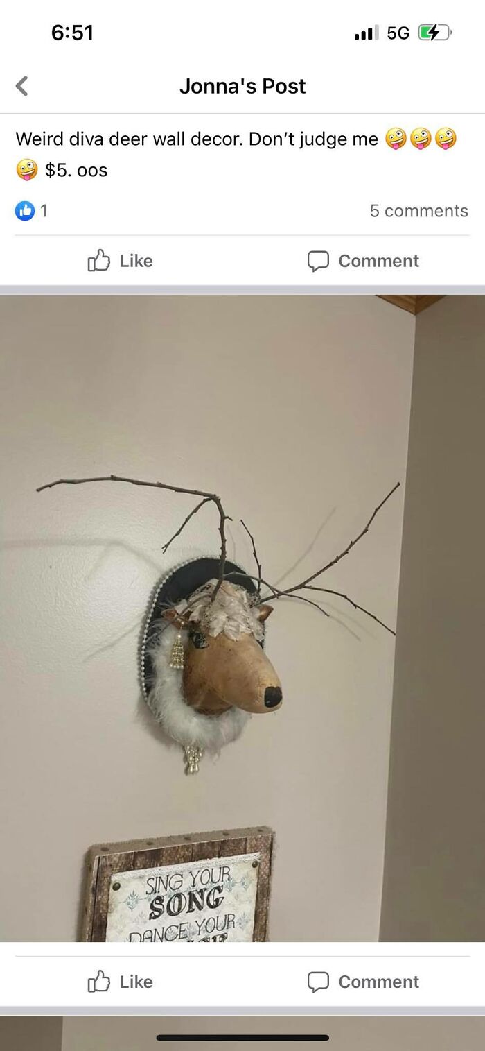 Weird-Funny-Facebook-Marketplace-Pics