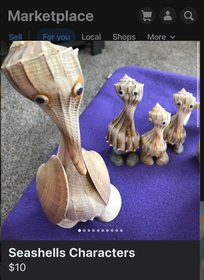 Weird-Funny-Facebook-Marketplace-Pics