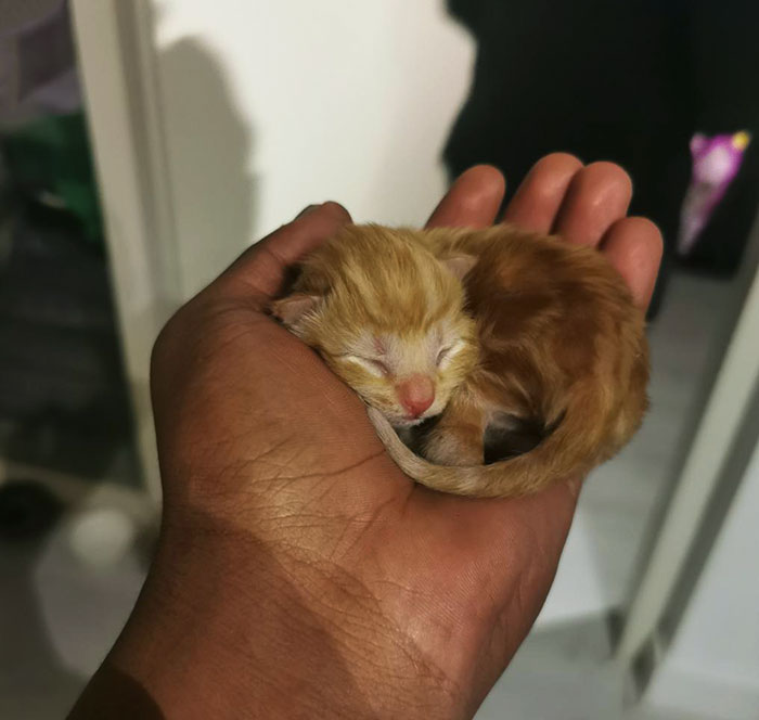 They’re At Their Most Dangerous When Their Eyes Aren’t Open Yet. They Can’t Even See The Crimes They’re Committing