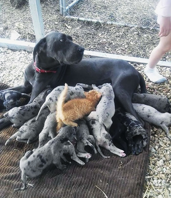 Just One Of The Guys