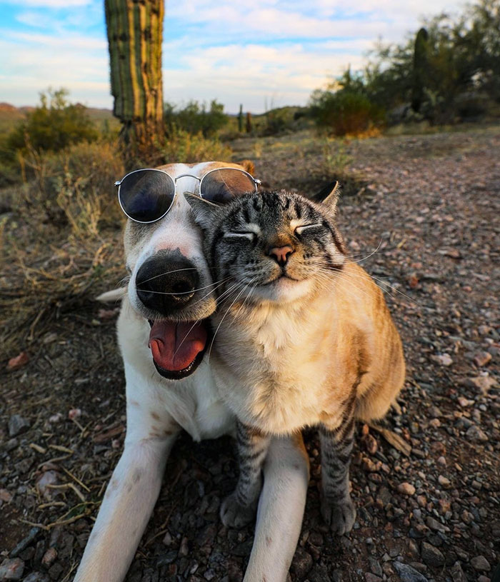 Best Friends Forever
