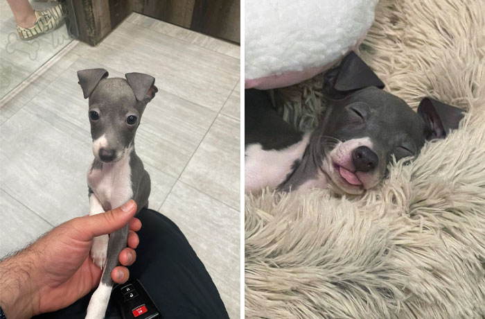 She Is So Adorable. Even When She Sleeps