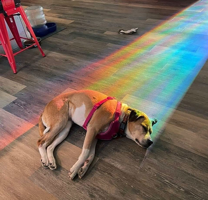 The Perfect Description Of The Treasure At The End Of The Rainbow