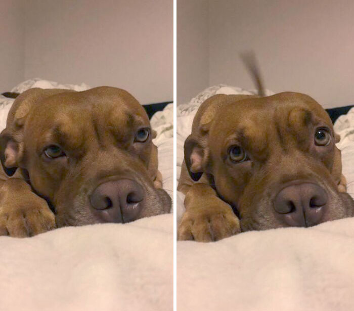 Before And After I Asked Her If She Knew How Cute She Was