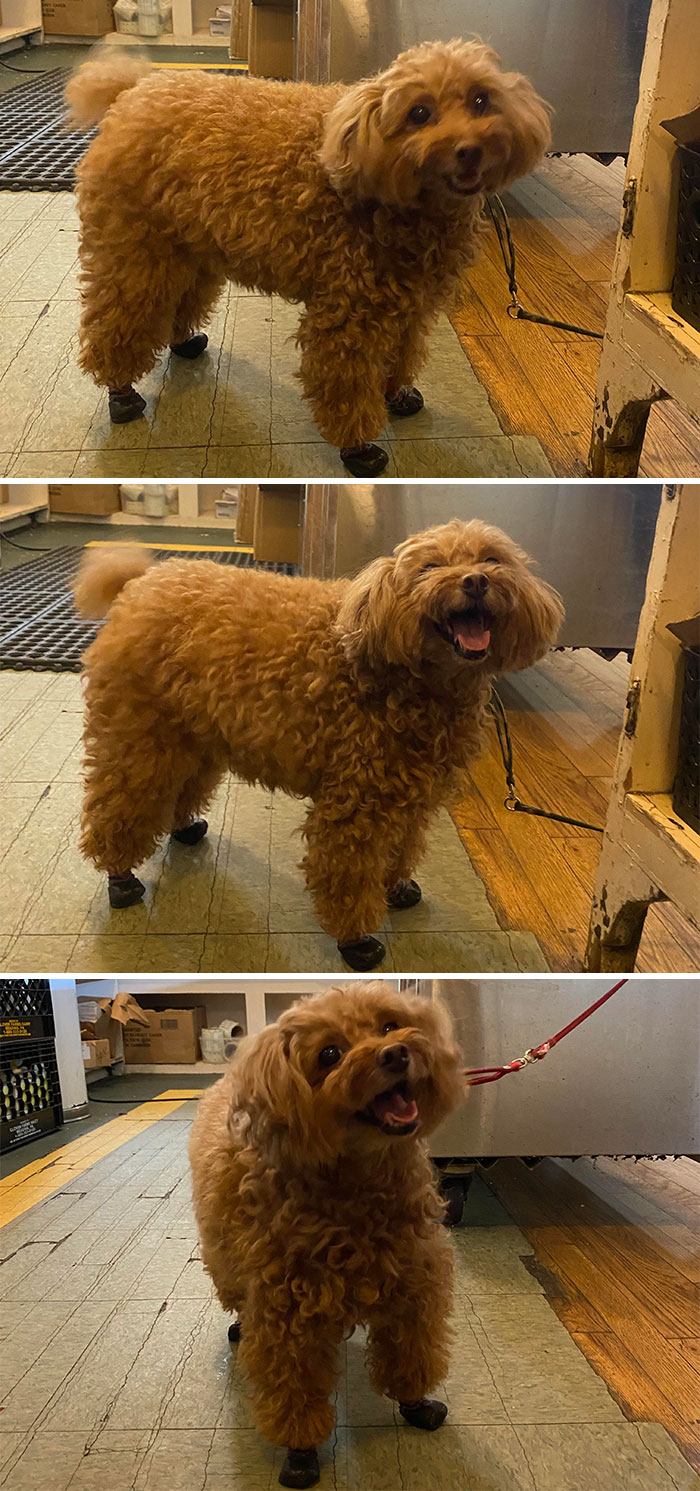 This Wee Lady That Has Been Stopping By The Bakery I Work At All Week