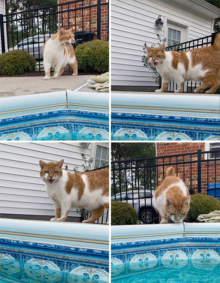 My Little Lifeguard Gets Nervous When My Head Goes Underwater 