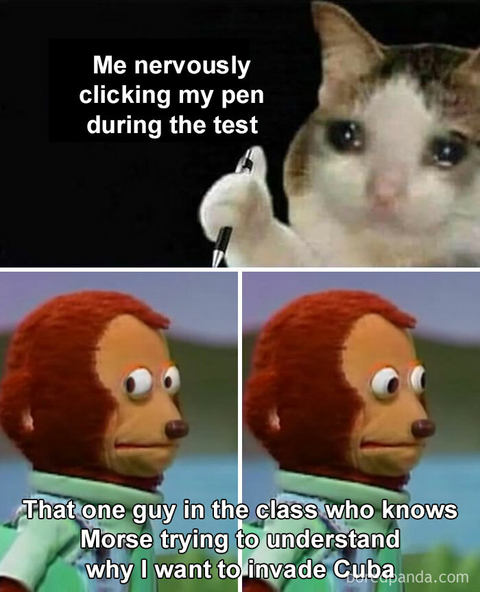 Funny science jokes meme featuring a nervous cat and a shocked monkey puppet during a test scenario.