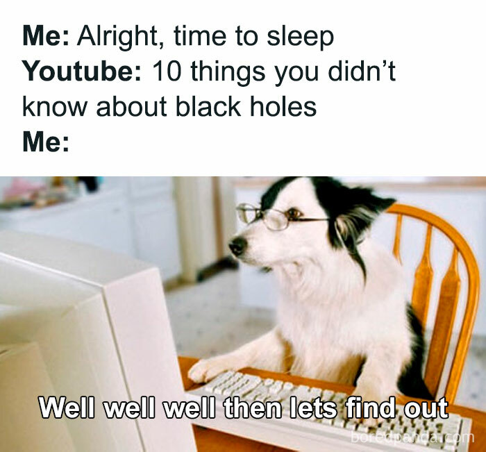 Dog wearing glasses sitting at a computer, captioned with a funny meme about science jokes and black holes.