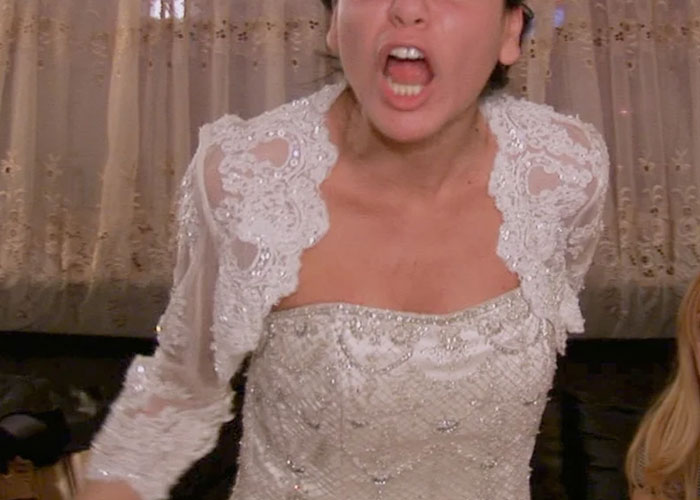  Woman Brings Her Own Food To A Vegan Wedding Because The Couple Didn't Want To Cater To Her Specific Diet, Drama Ensues - 9