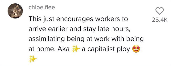 "It&rsquo;s A Trick To Keep You At Work 24/7": Worker Tries To Flex With 'Cool Perks' Her Tech Company Provides, Doesn't Get Jealous Response She Expected