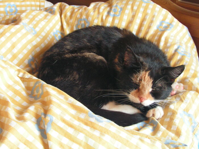 You Got Up, This Is Mine Now