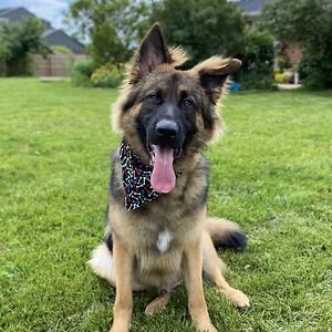 kevin_rotramel avatar