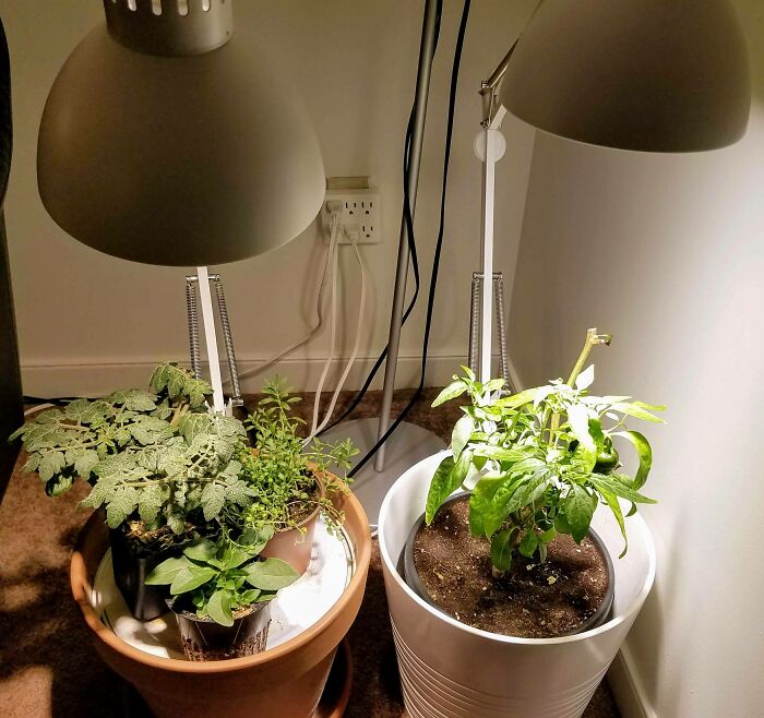 35 Strange Secret Rooms These People Found In Their Homes, Shared In This Online Thread