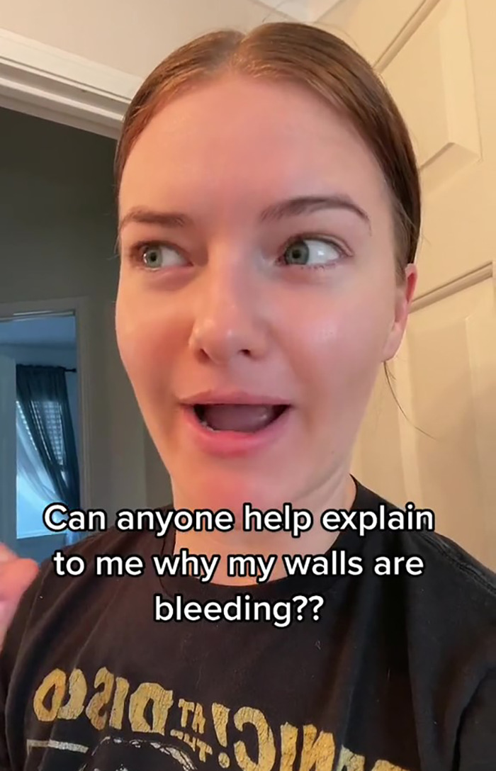 Woman Records Her Efforts To Find Out What Is The Cause Of Her Bathroom Cabinet &ldquo;Bleeding&rdquo;, Asks The Internet For Help