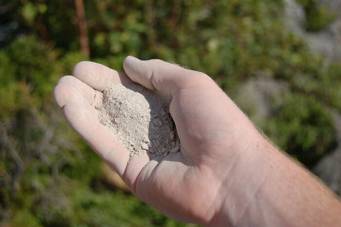 30 Times Thrift Store Workers And Clients Were So Stunned By Interesting Finds, They Just Had To Share Them Online - 9