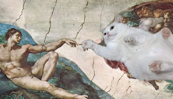 Sassiest Dwarf Kitten Comes Into Woman's Home, Steals Her Heart And Becomes Internet Sensation