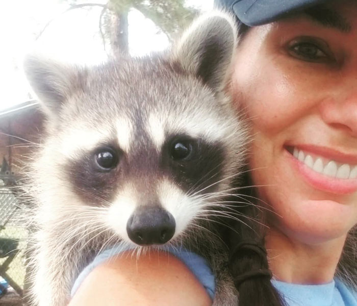 Animals At Wildlife Rescue Rejoice As Dozens Of Squashed Watermelons Are Donated After Accident Animals At Wildlife Rescue Rejoice As Dozens Of Squashed Watermelons Are Donated After Accident