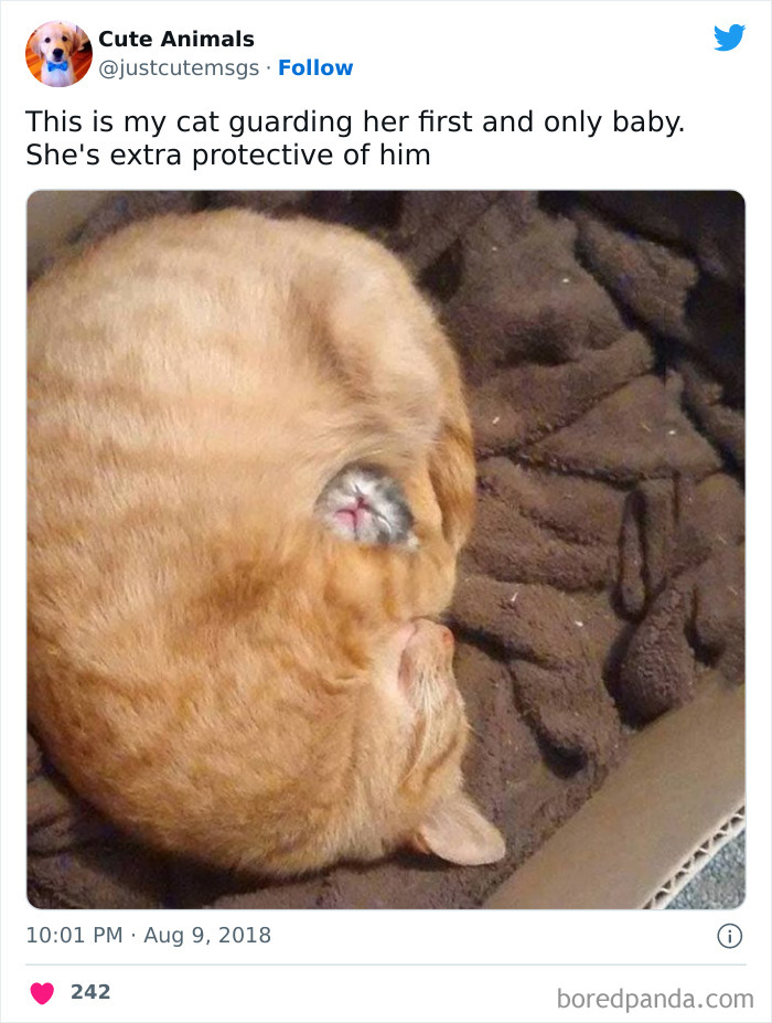 Please Release Me From The Void